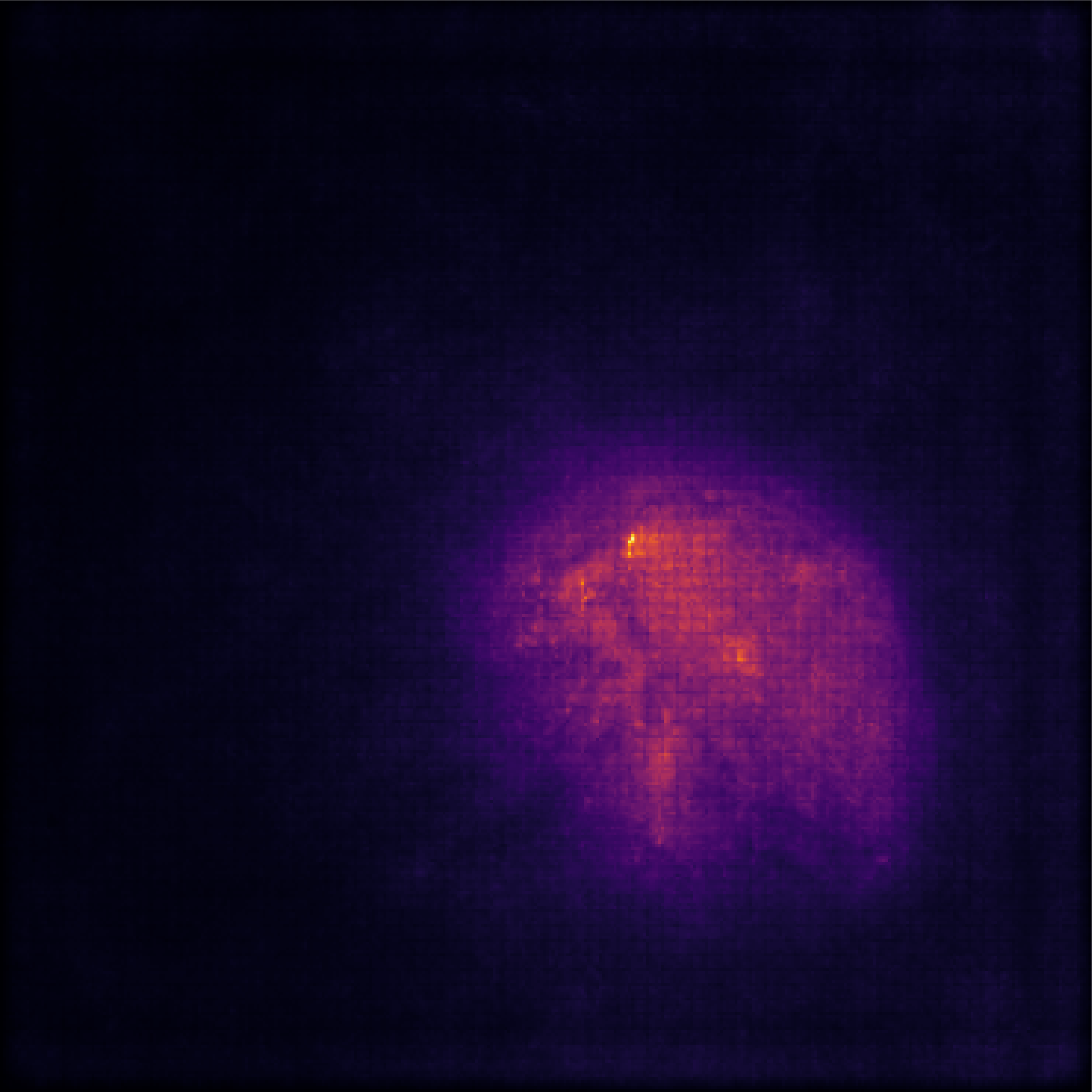 Integrated Gradients attribution